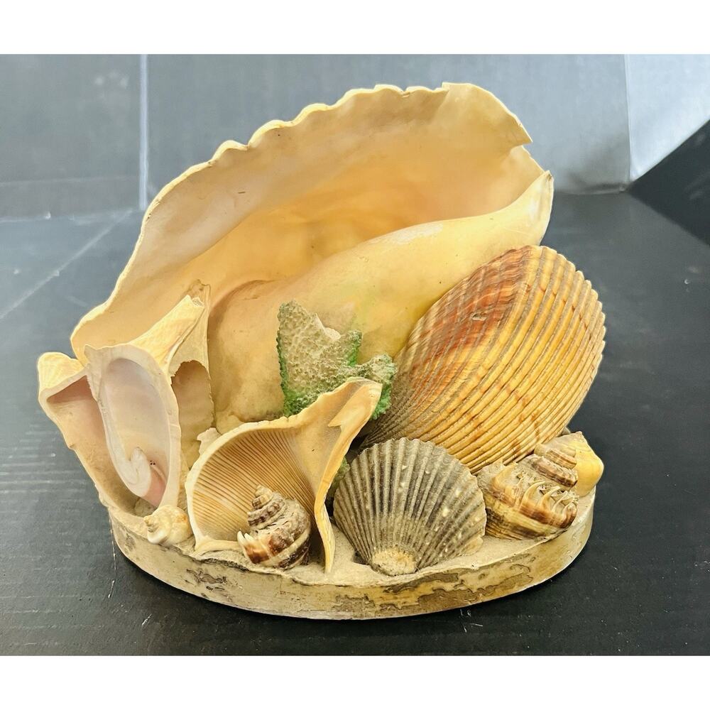 Seashell Centerpiece - Picture 3 of 4